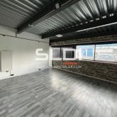 Locaux d'activités A LOUER - ANSE - 705 m²