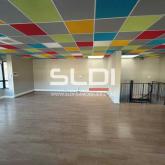 Locaux d'activités A LOUER - ANSE - 705 m²