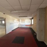 Locaux d'activités A LOUER - ANSE - 680 m²
