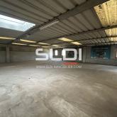 Locaux d'activités A LOUER - ANSE - 680 m²