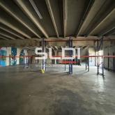 Locaux d'activités A LOUER - ANSE - 680 m²