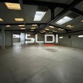 Activités A VENDRE - JASSANS RIOTTIER - 4 185 m² Activités A VENDRE - JASSANS RIOTTIER - 4 185 m²