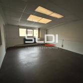 Activités A VENDRE - JASSANS RIOTTIER - 4 185 m² Activités A VENDRE - JASSANS RIOTTIER - 4 185 m²