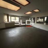 Activités A VENDRE - JASSANS RIOTTIER - 4 185 m² Activités A VENDRE - JASSANS RIOTTIER - 4 185 m²