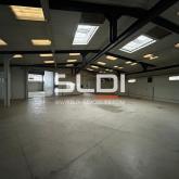 Locaux d'activités A VENDRE - JASSANS RIOTTIER - 4 185 m²