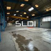 Locaux d'activités A VENDRE - JASSANS RIOTTIER - 4 185 m²