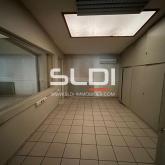 Locaux d'activités A VENDRE - JASSANS RIOTTIER - 4 185 m²