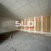 Activités A VENDRE - VILLEURBANNE - 3 350 m²