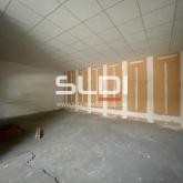 Locaux d'activités A VENDRE - VILLEURBANNE - 3 350 m²