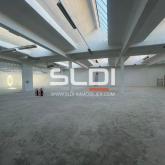 Locaux d'activités A VENDRE - VILLEURBANNE - 3 350 m²