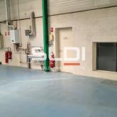 Locaux d'activités A LOUER - SAINT GENIS LAVAL - 1 438 m²