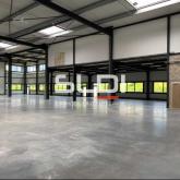 Activités A VENDRE - VAULX EN VELIN - 360 m²