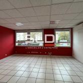 Activités A LOUER - VILLEFRANCHE SUR SAONE - 247 m²