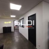 Locaux d'activités A VENDRE - BEAUVOIR DE MARC - 1 870 m²