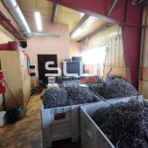 Activités A LOUER - SEMONS - 1 000 m²