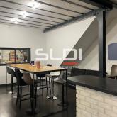 Activités A VENDRE OU A LOUER - DECINES CHARPIEU - 534 m² Activités A VENDRE OU A LOUER - DECINES CHARPIEU - 534 m²