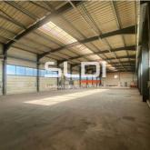 Activités A LOUER - MORNANT - 1 017 m²