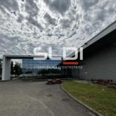 Activités A VENDRE - MORNANT - 8 831 m²