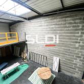 Activités A LOUER - CHAPONNAY - 269 m²