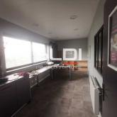 Activités A LOUER - SAINT JEAN DE BOURNAY - 420 m²