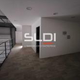 Activités A LOUER - SAINT JEAN DE BOURNAY - 420 m²