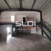 Activités A LOUER - SAINT JEAN DE BOURNAY - 420 m²