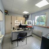 Activités A LOUER - DAGNEUX - 614 m²