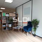 Bureaux A LOUER - VILLEURBANNE - 233 m²