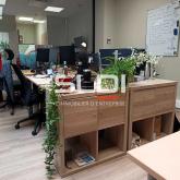 Bureaux A LOUER - VILLEURBANNE - 233 m²