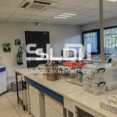 Activités A LOUER - BRON - 334 m²
