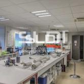 Activités A LOUER - BRON - 334 m²