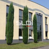 Activités A LOUER - ARNAS - 1 440 m²