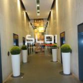 Bureaux A LOUER - LYON - 297 m²