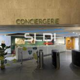 Bureaux A LOUER - LYON - 217 m²