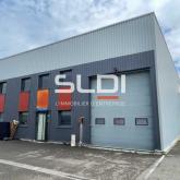 Activités A LOUER - RILLIEUX LA PAPE - 256 m²
