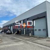 Activités A LOUER - RILLIEUX LA PAPE - 256 m²