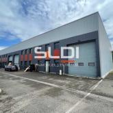 Activités A LOUER - RILLIEUX LA PAPE - 256 m²