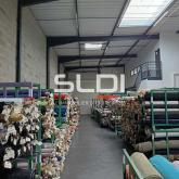 Activités A LOUER - GENAS - 420 m²