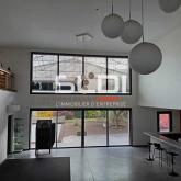 Activités A VENDRE - DECINES CHARPIEU - 1 092 m²