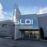 Activités A VENDRE - DECINES CHARPIEU - 2 100 m²