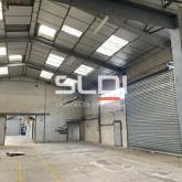 Activités A VENDRE OU A LOUER - RILLIEUX LA PAPE - 405 m²