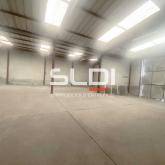 Activités A LOUER - SAINT LAURENT DE MURE - 860 m²