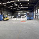 Activités A LOUER - CHASSIEU - 1 250 m²