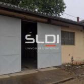 Activités A LOUER - FLEURIEU SUR SAONE - 397 m²