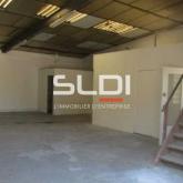 Activités A LOUER - FLEURIEU SUR SAONE - 397 m²