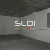 Activités A LOUER - FLEURIEU SUR SAONE - 397 m²