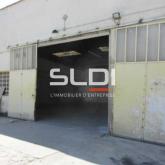 Activités A LOUER - FLEURIEU SUR SAONE - 397 m²