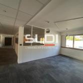Bureaux A LOUER - ECULLY - 162 m²
