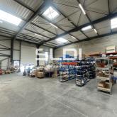 Activités A LOUER - SAINT PRIEST - 574 m²
