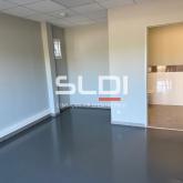 Activités A LOUER - LUZINAY - 420 m²